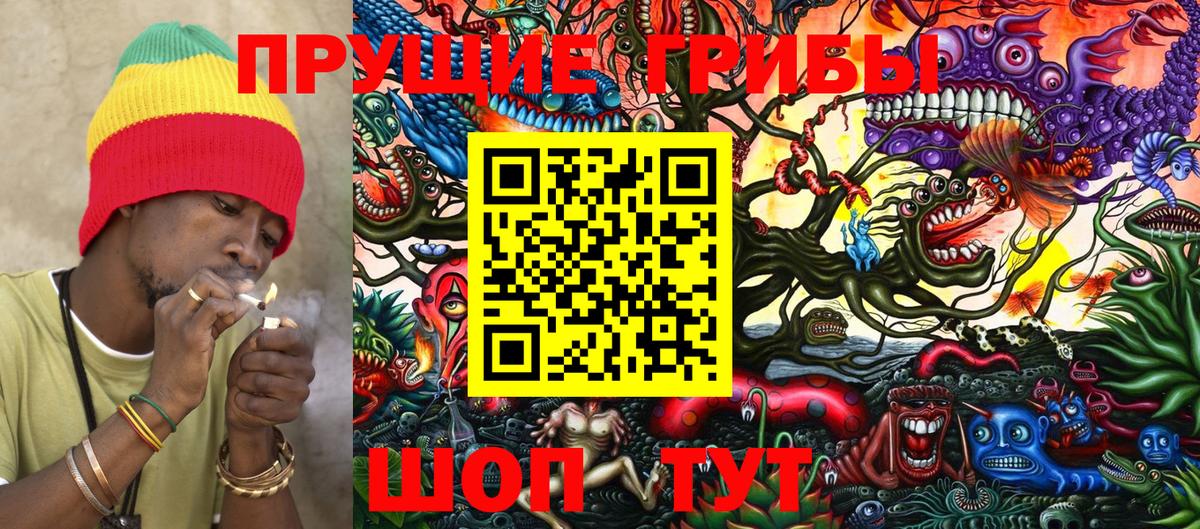 Гуково  Псилоцибиновые грибы прущие грибы  где найти наркотики  Вход с VPN 